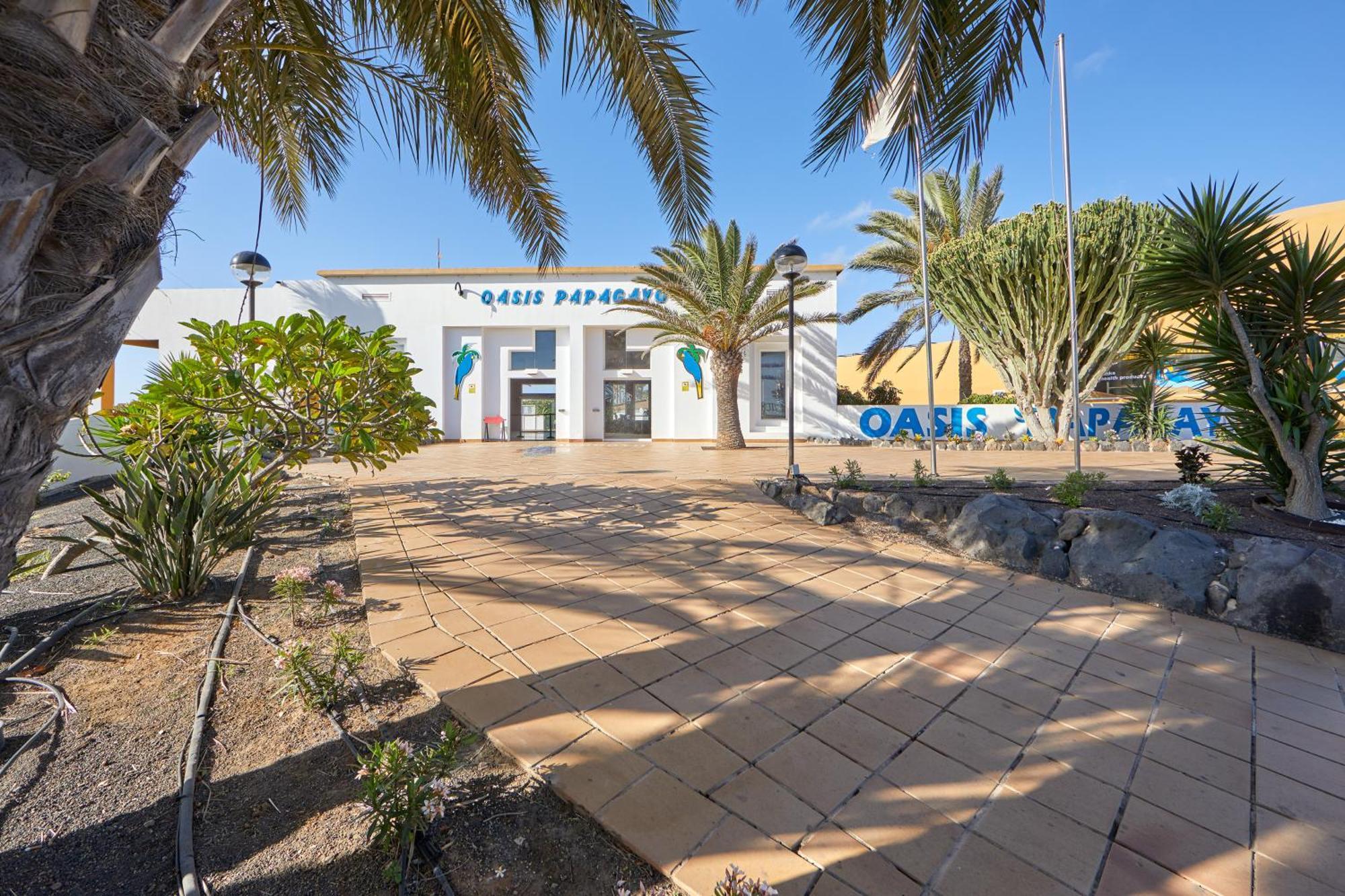 Apartamento Samira Fuerteventura คอร์ราเลโฮ ภายนอก รูปภาพ
